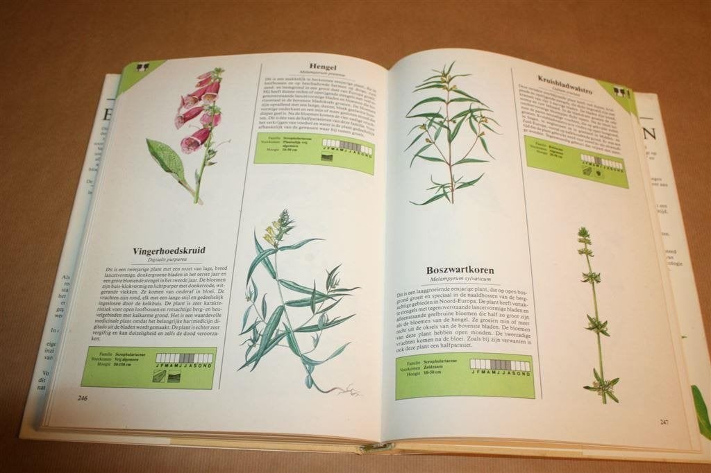 Het boek in kleur over wilde bloemen, Boeken, Ophalen of Verzenden, Gelezen, Bloemen, Planten en Bomen