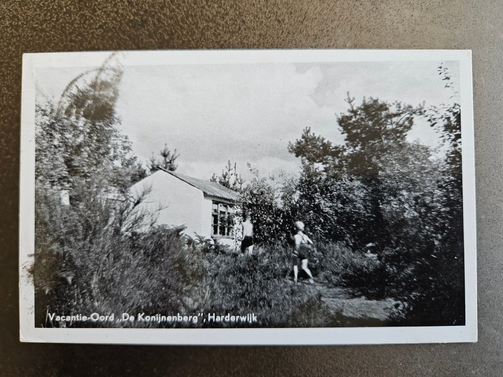 277) De Konijnenberg Harderwijk, Ophalen of Verzenden