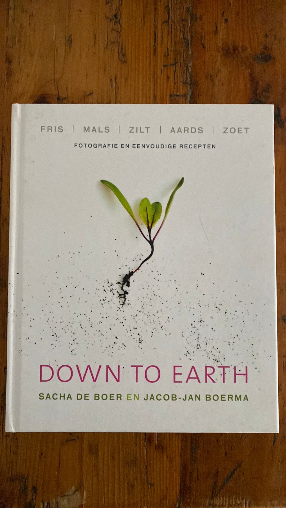 Sacha de Boer - Down to earth, Ophalen of Verzenden, Zo goed als nieuw, Sacha de Boer; Jacob-Jan Boerma