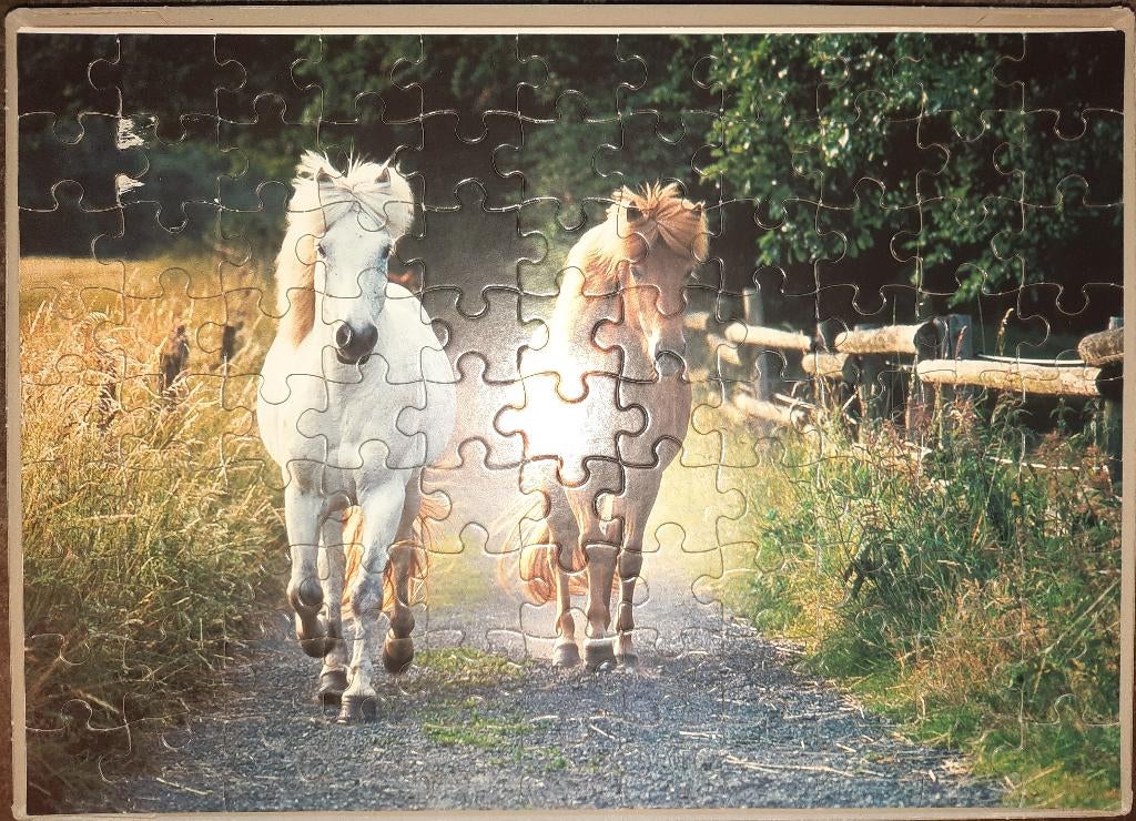 Prachtige paarden puzzel cheval chevaux 99st Fame puzzels, Hobby en Vrije tijd, Denksport en Puzzels, Ophalen of Verzenden, Minder dan 500 stukjes