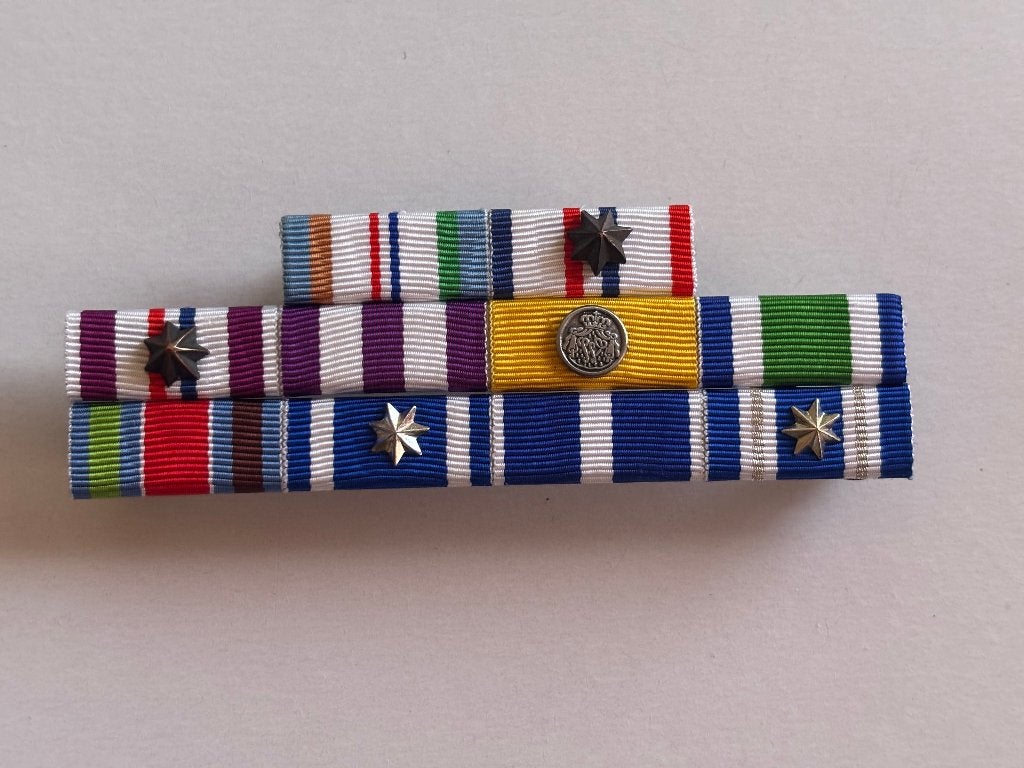 10 delige baton set, Verzenden, Landmacht, Nederland, Kleding of Schoenen