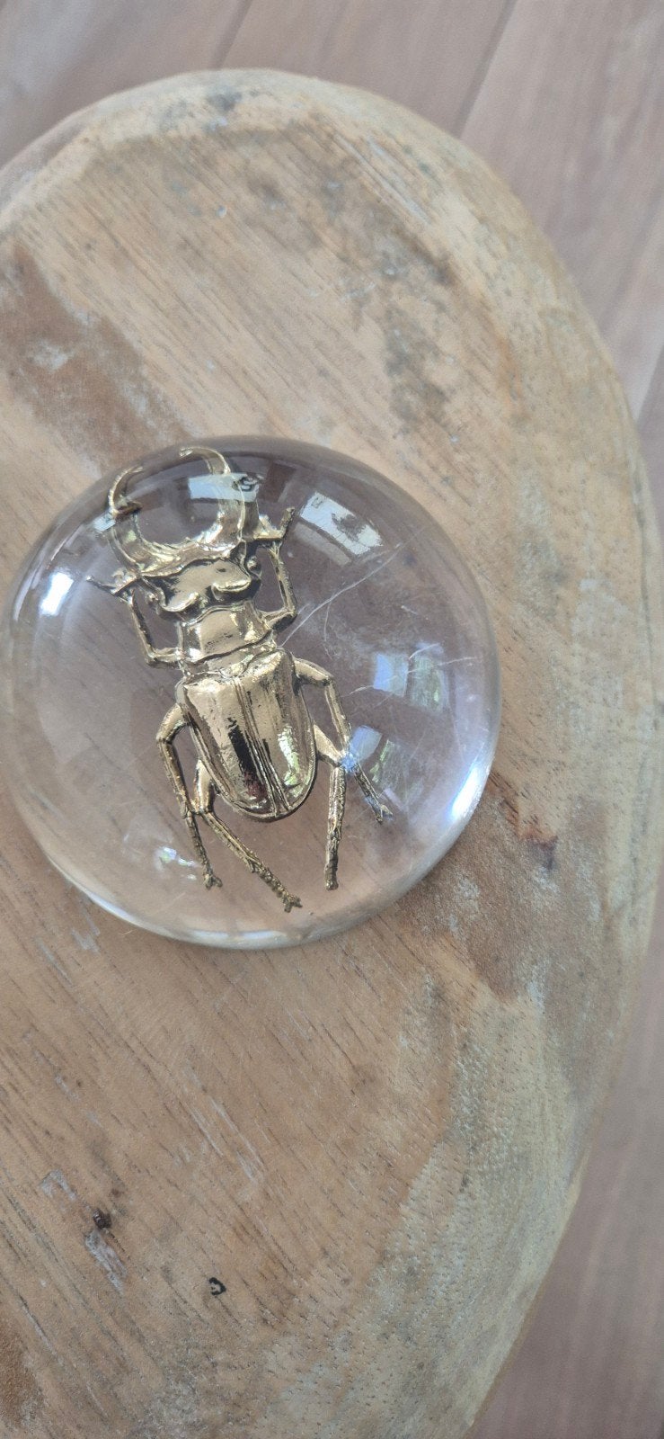 Twee decoratieve kevers - goudkleurig, Ophalen