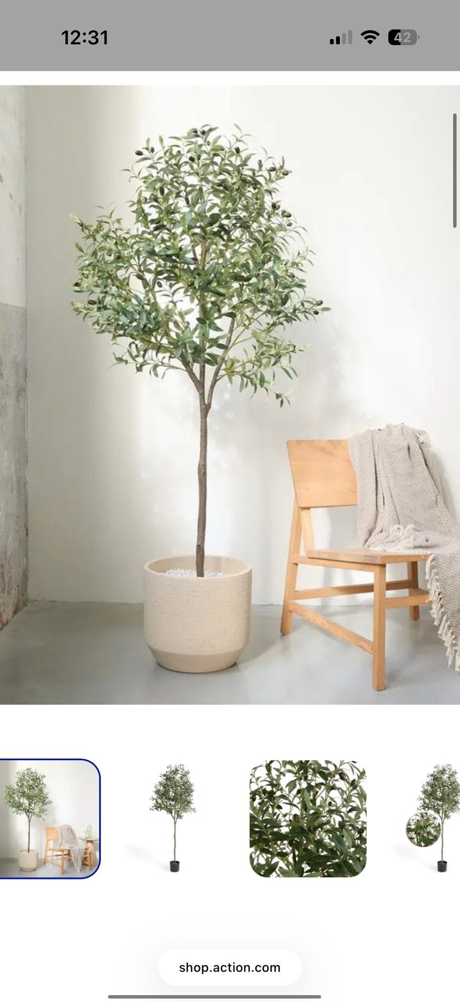 Nieuwe Kunst Olijfboom - 175 cm hoog, Binnen, Groen, Kunstplant, Nieuw