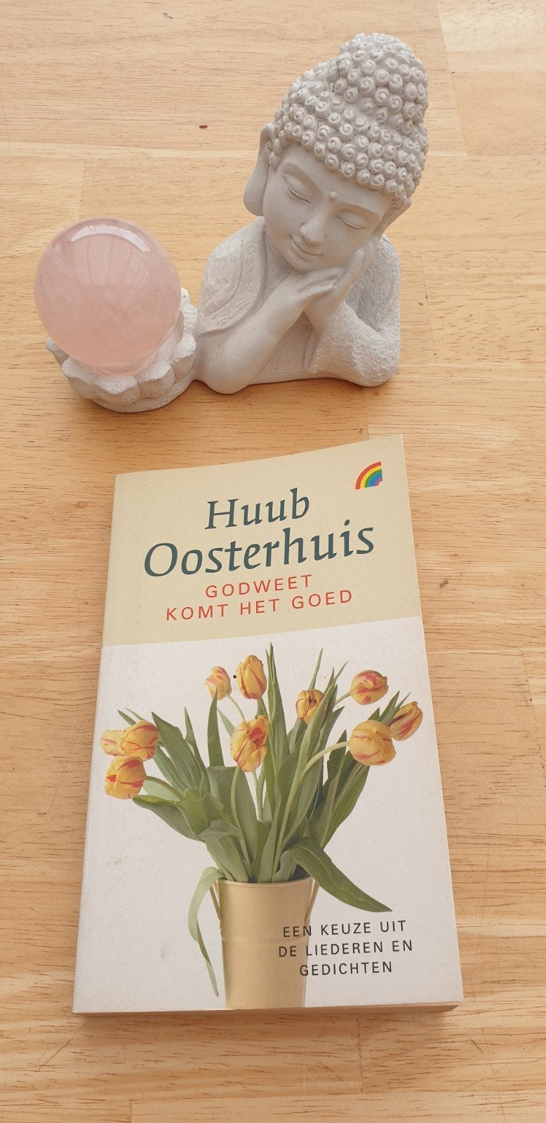 Huub Oosterhuis - Godweet komt het goed (licht verkleurd), Ophalen of Verzenden, Gelezen, Huub Oosterhuis