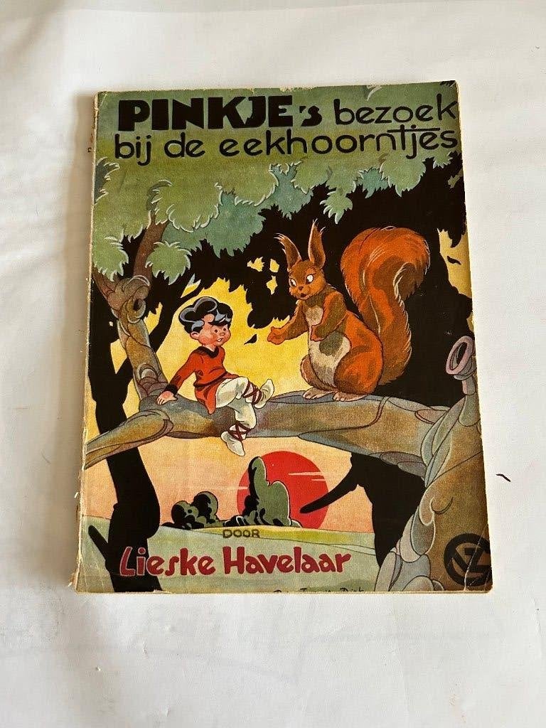 Pinkje's bezoek bij de eekhoorntjes door Lieske Havelaar, Boeken, Stripboeken, Eén stripboek, Ophalen of Verzenden, Zo goed als nieuw