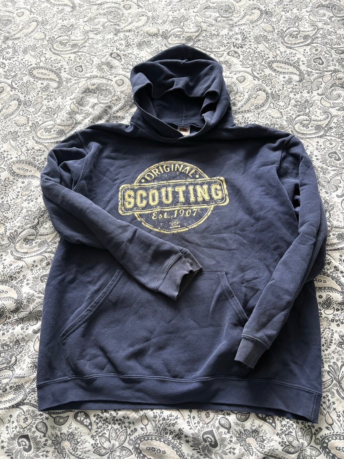 2x Scoutingtrui - Hoodie, Ophalen of Verzenden, Gedragen, Maat 34 (XS) of kleiner, Blauw