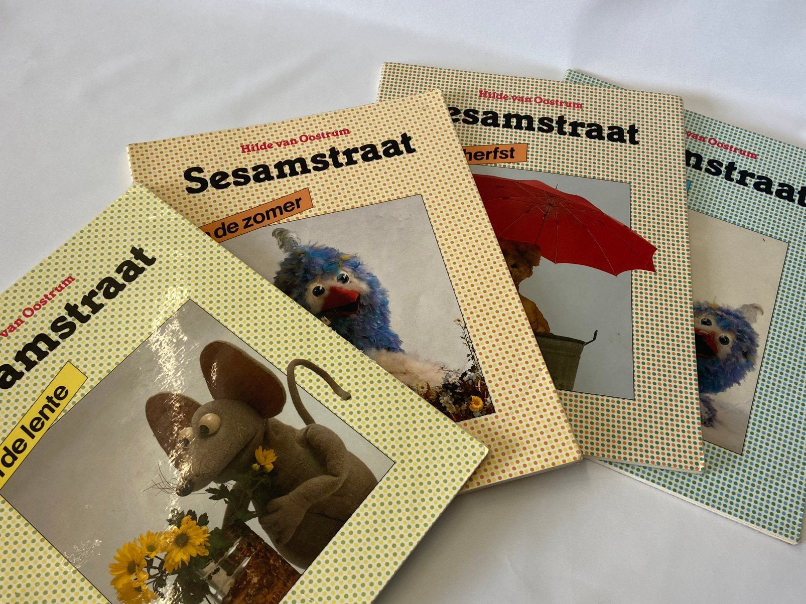 Vier delen Sesamstraat Lente, Zomer, Herfst en Winter, Ophalen of Verzenden, Zo goed als nieuw, Plaatjesalbum