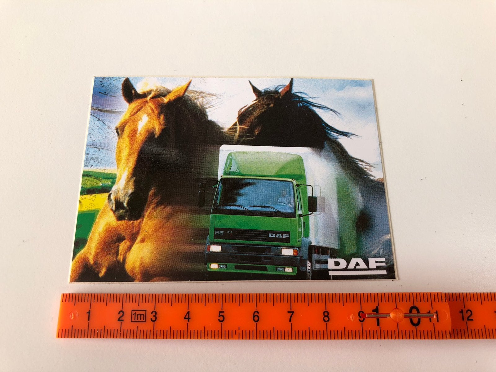 Sticker DAF Trucks Demo 55 (met paarden), Ophalen of Verzenden, Zo goed als nieuw, Auto's