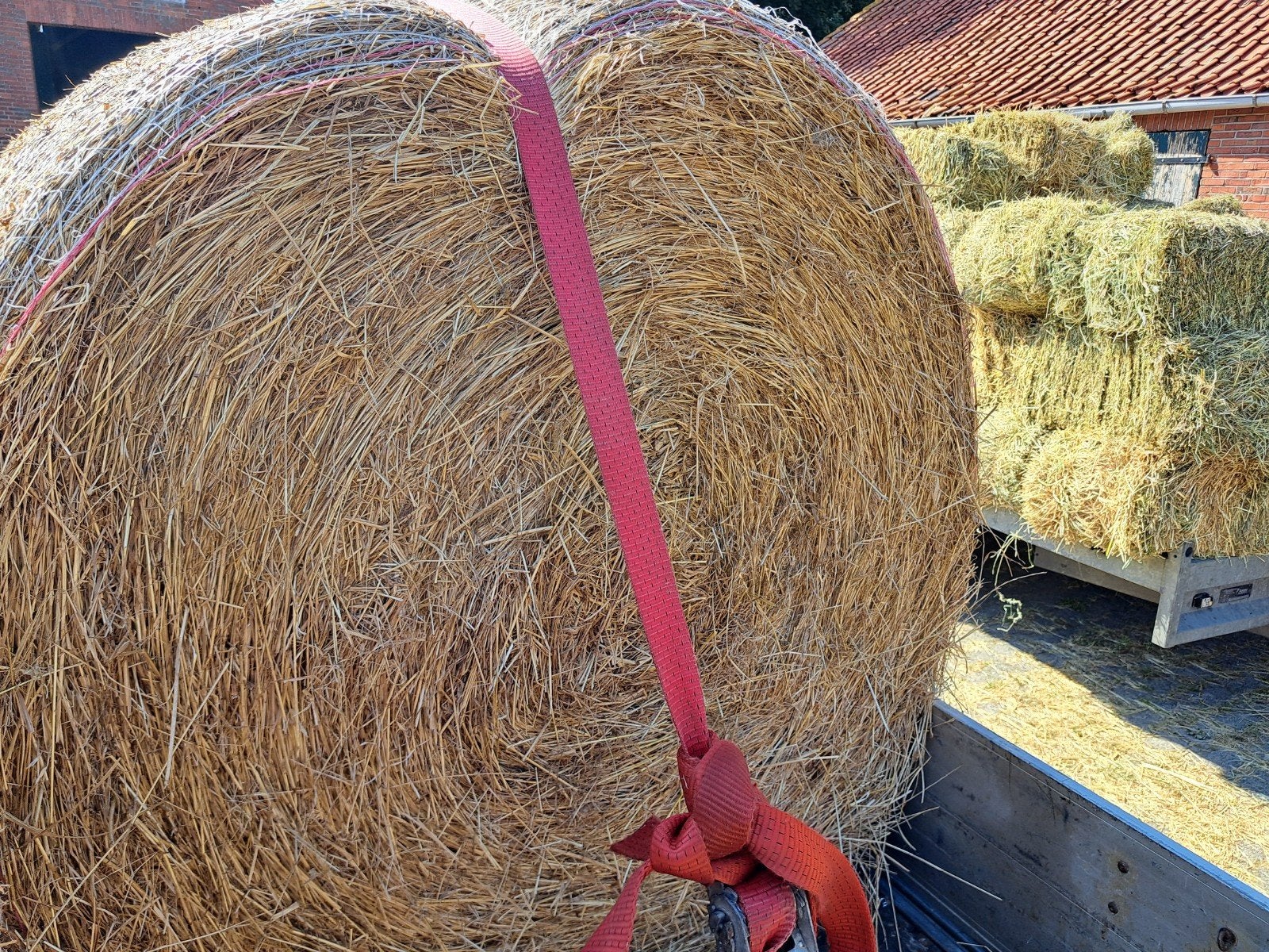 hooibalen grote voor paarden, Ophalen of Verzenden, Vee