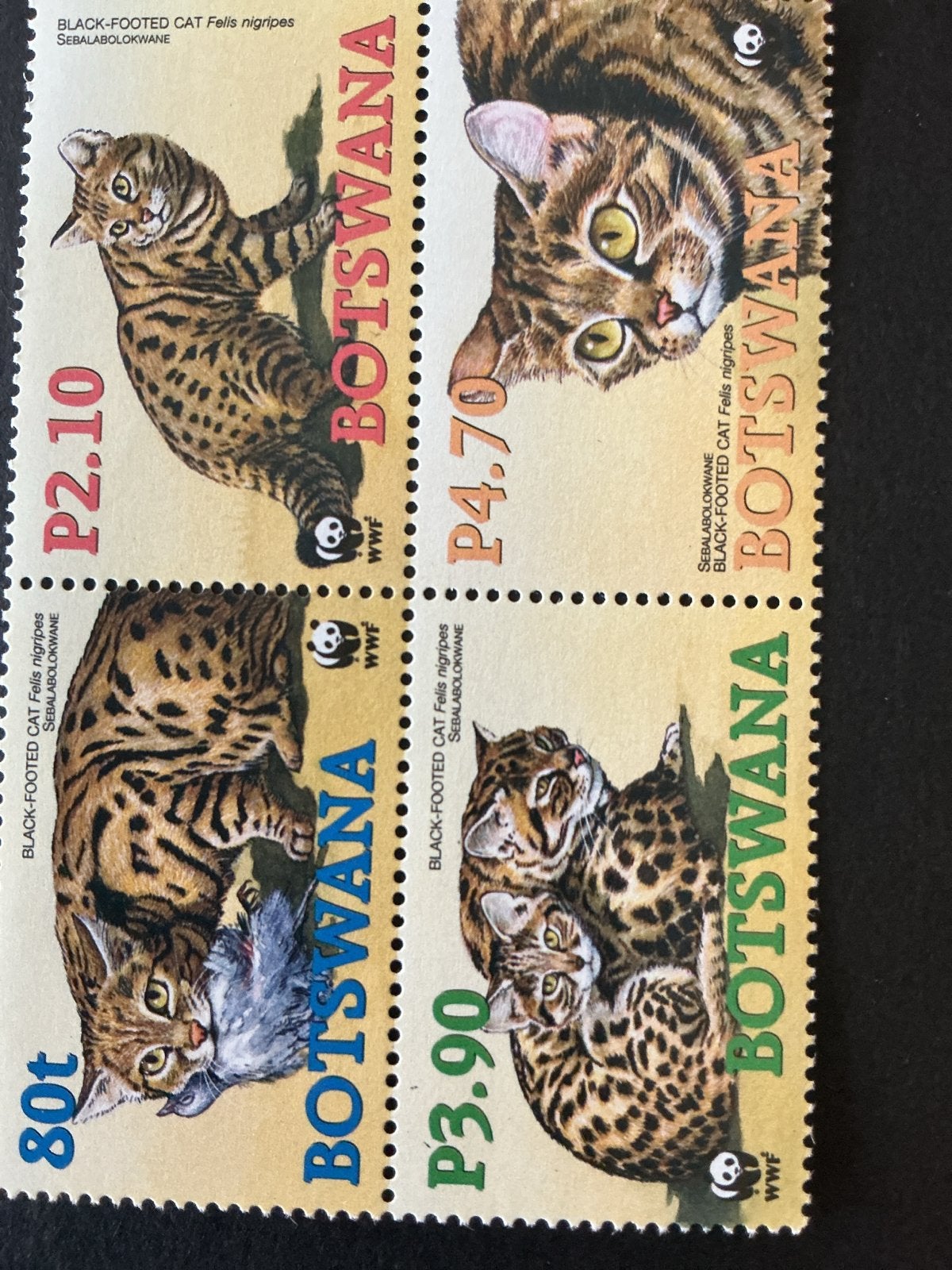 Botswana - Zwartvoetkatten (Felis nigripes) wilde katten, Verzenden, Overige landen, Postfris
