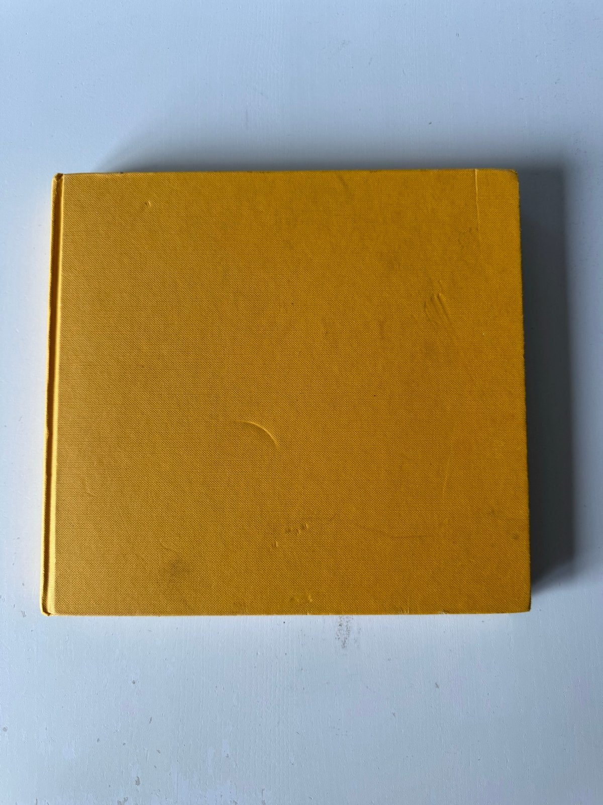 Het Visboek - Coenraet van der Maes, Ophalen of Verzenden, Zo goed als nieuw