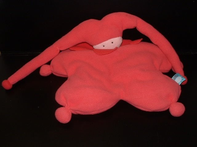 LITTLE SURPRISE ETOS POP FLEECE ROZE MET LANGE, Ophalen of Verzenden, Nieuw, Overige typen
