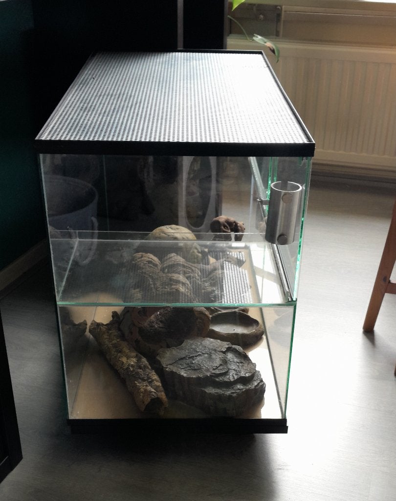 Terrarium, Dieren en Toebehoren, Reptielen en Amfibieën, Overige soorten, 0 tot 2 jaar