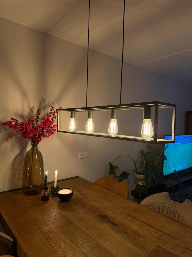 Hanglamp industrieel inclusief lichtbronnen, Ophalen, Zo goed als nieuw, Industrieel, Minder dan 50 cm