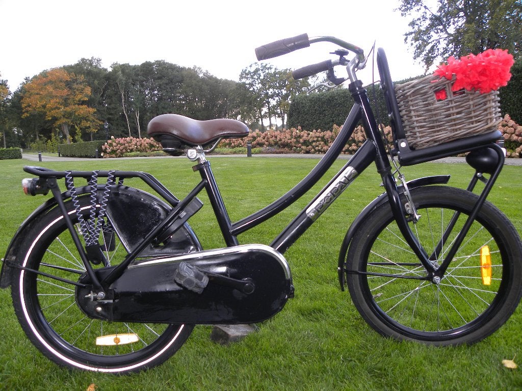 mooie 20'' popal meisjesfiets, Ophalen, Terugtraprem, Gebruikt, Handrem