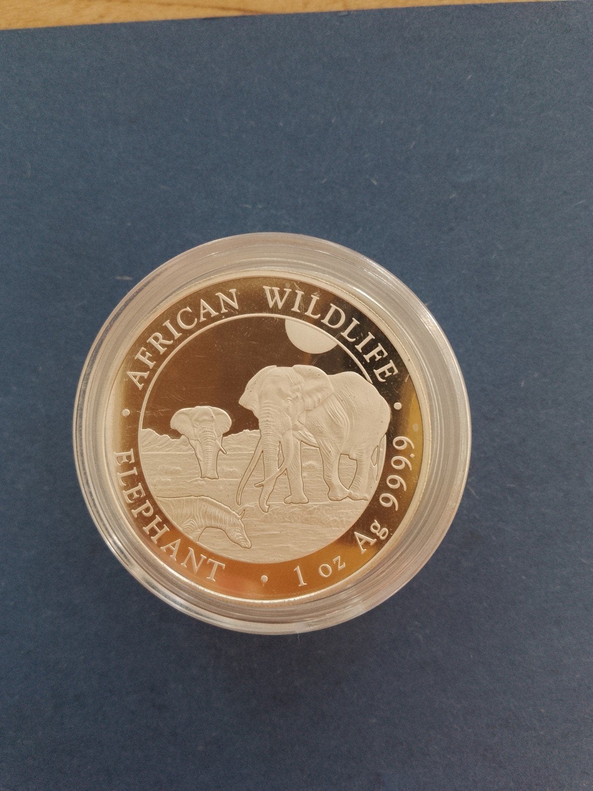 Somalische olifant 2026 1 oz zilver, Postzegels en Munten, Ophalen of Verzenden, Zilver