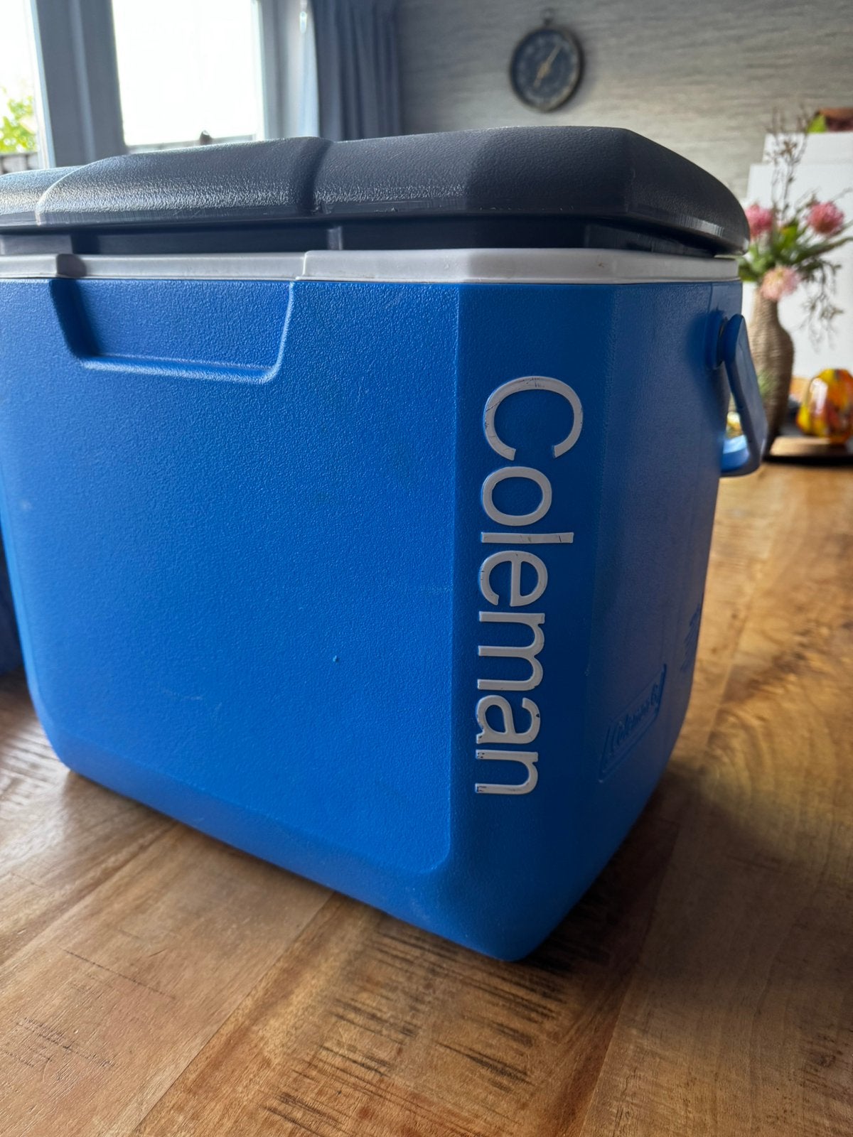 Coleman grote koelbox, Caravans en Kamperen, Ophalen, Gebruikt, Koelelement