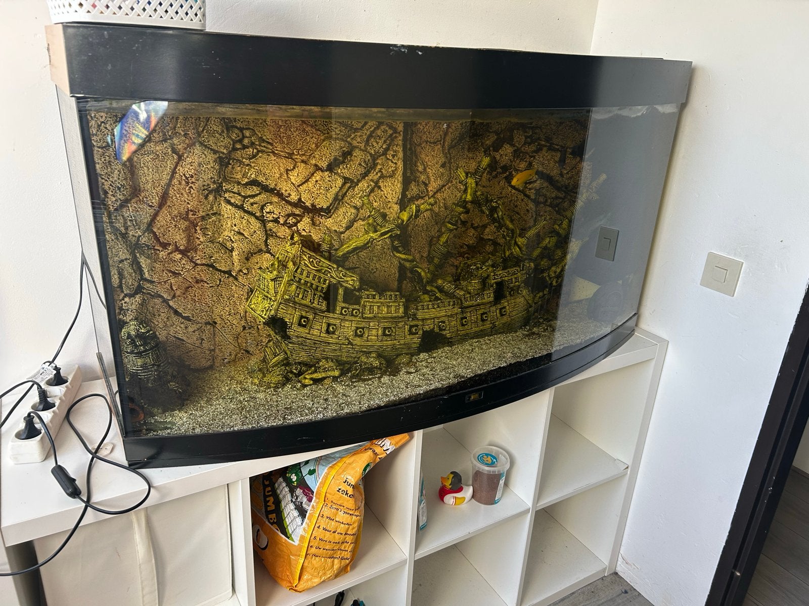 Aquarium gratis af te halen, Ophalen, Zo goed als nieuw, Gevuld zoetwateraquarium