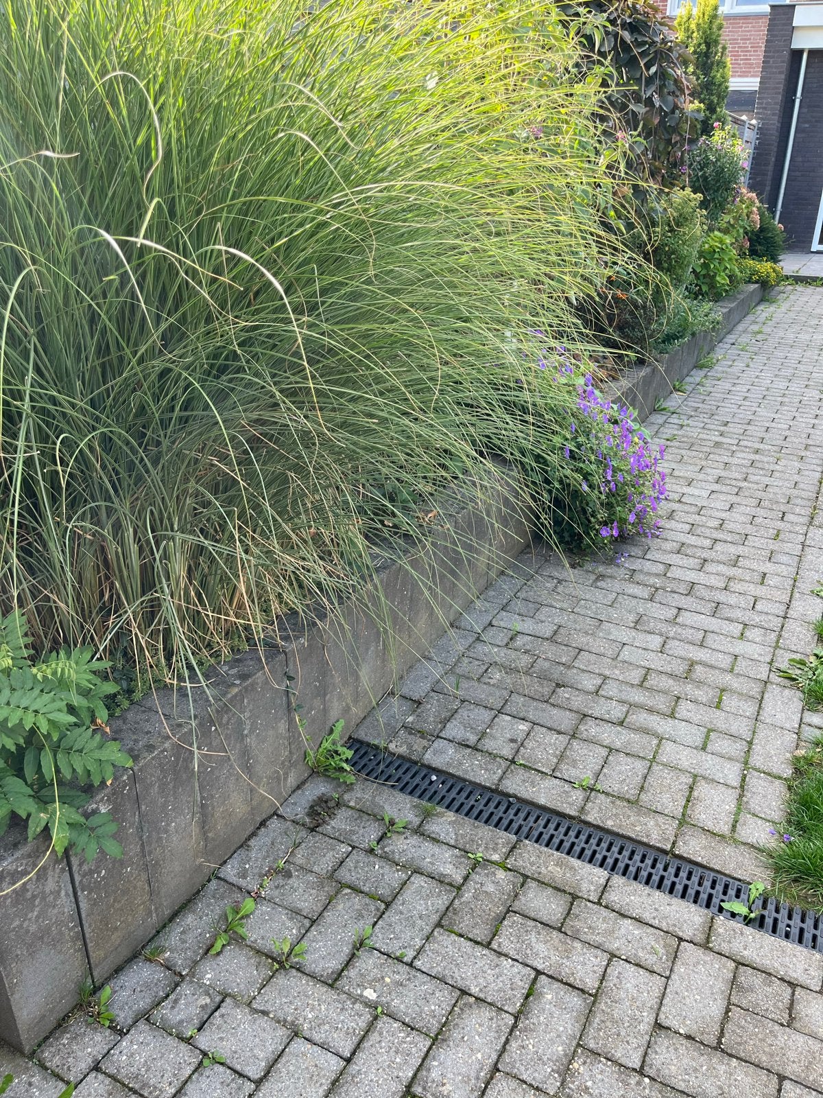 Betonnen border rand, Tuin en Terras, Ophalen, Gebruikt, 200 cm of meer, Border