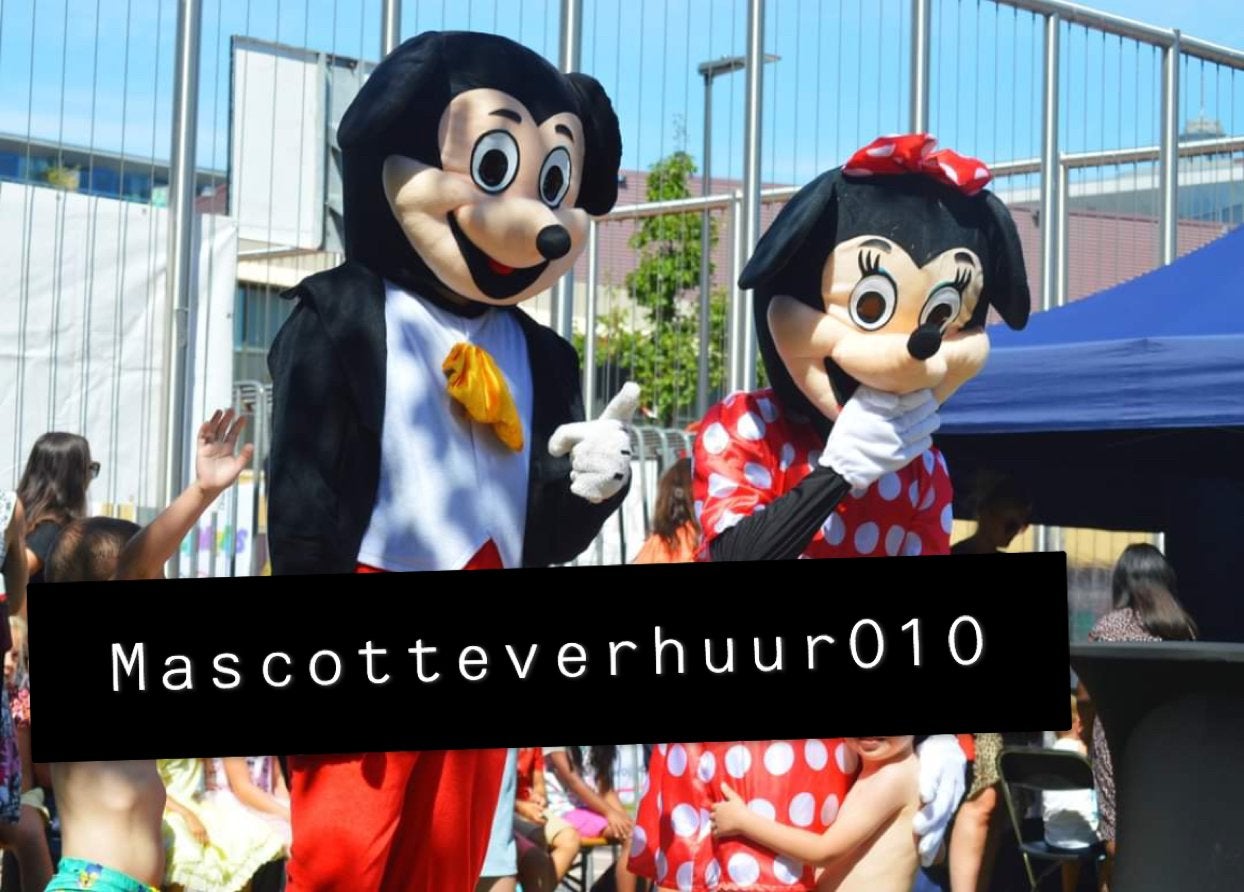 Mickey & Minnie Mouse mascottes te huur, Ophalen, Zo goed als nieuw, Verjaardag