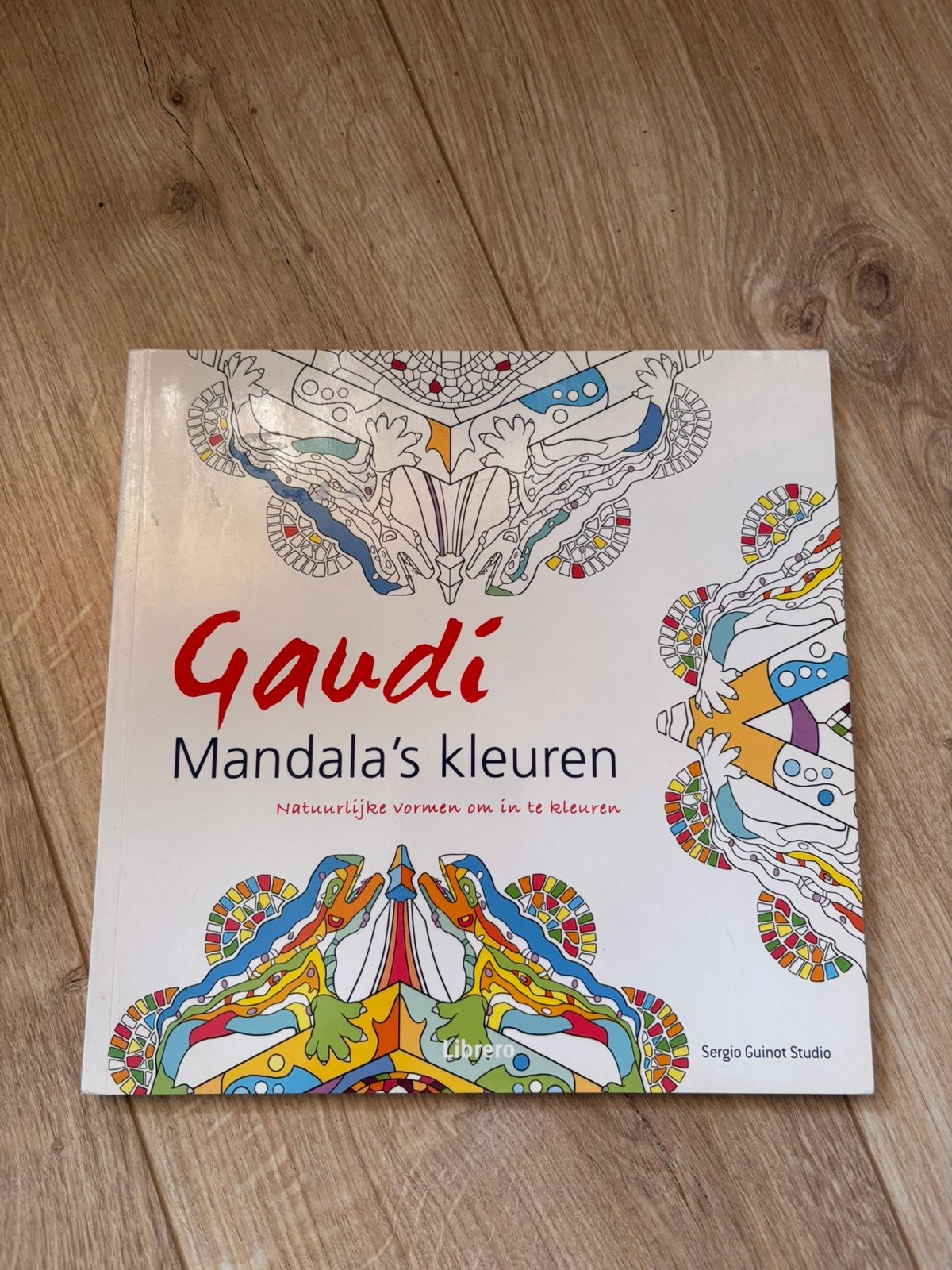 Gaudi Mandala’s kleuren ongebruikt, Ophalen of Verzenden, Zo goed als nieuw, Potlood of Stift