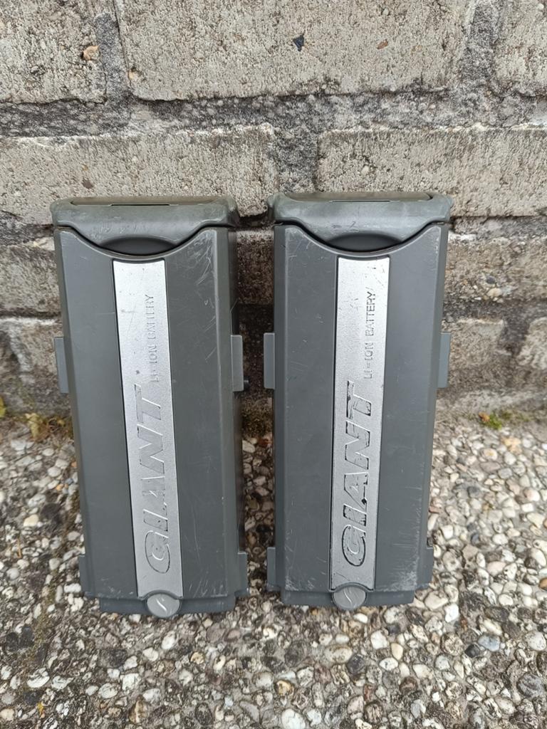 Twee accu’s voor de Giant Twist 26V., Fietsen en Brommers, Ophalen of Verzenden, Gebruikt