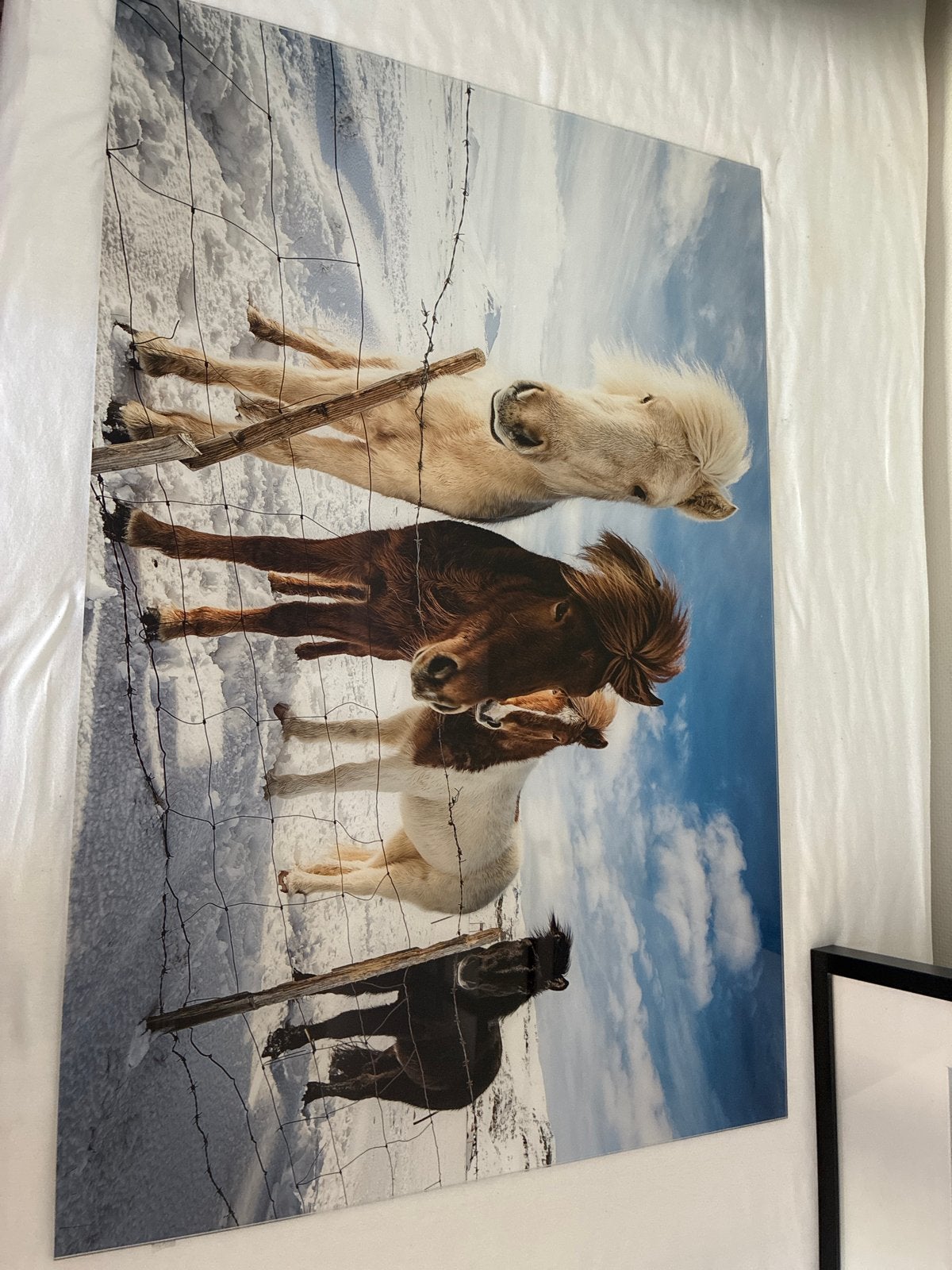 Wanddecoratie IJslandse paarden 90x60 cm, Ophalen, Zo goed als nieuw, Foto of Poster, 75 – 100