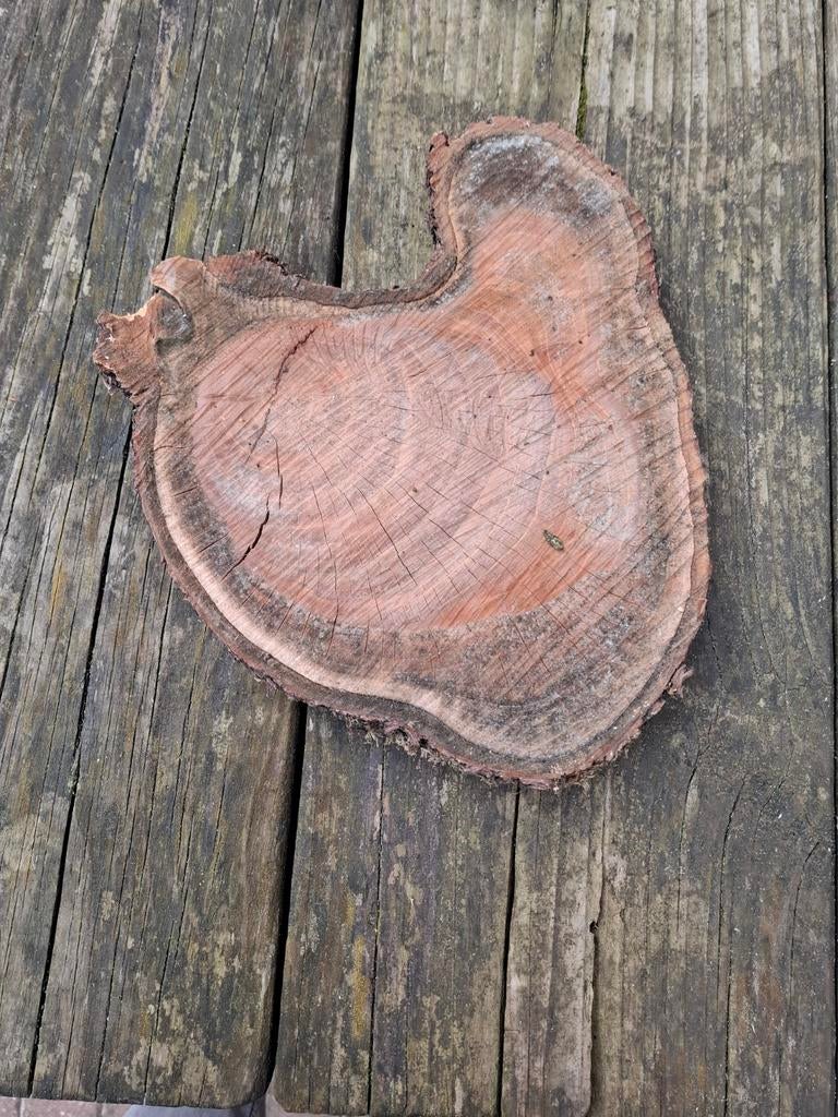 2 stuks, Unieke houten decoratie schijf Natuurlijke boomstam, Huis en Inrichting, Ophalen of Verzenden, Gebruikt