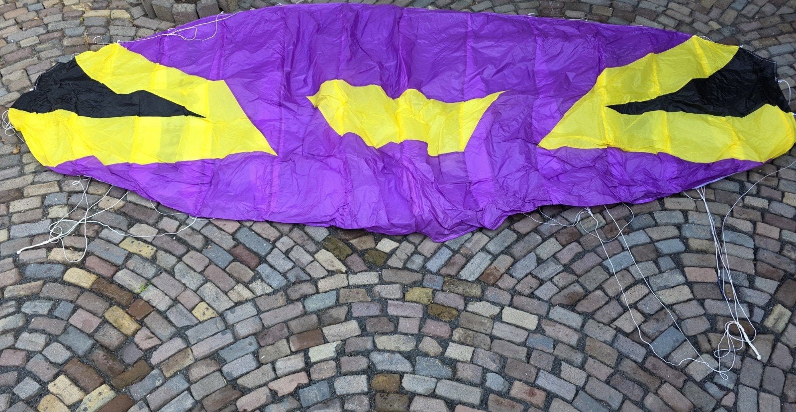Te koop: Peter Lynn vlieger, Ophalen, Zo goed als nieuw