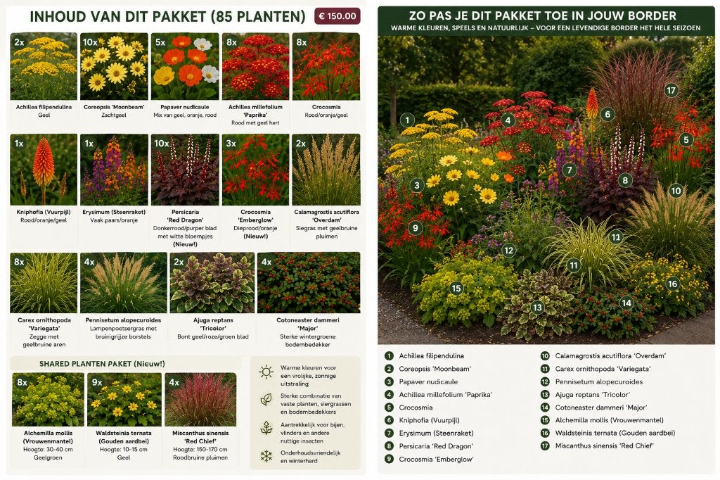 85 Vaste planten Pakket  Geel, Oranje, Rood, Ophalen of Verzenden, Vaste plant, Overige soorten, Volle zon