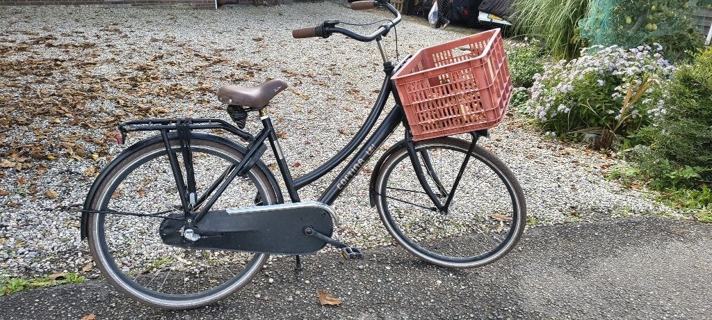 Foto 2 van Stoere & robuuste Cortina meisjes fiets