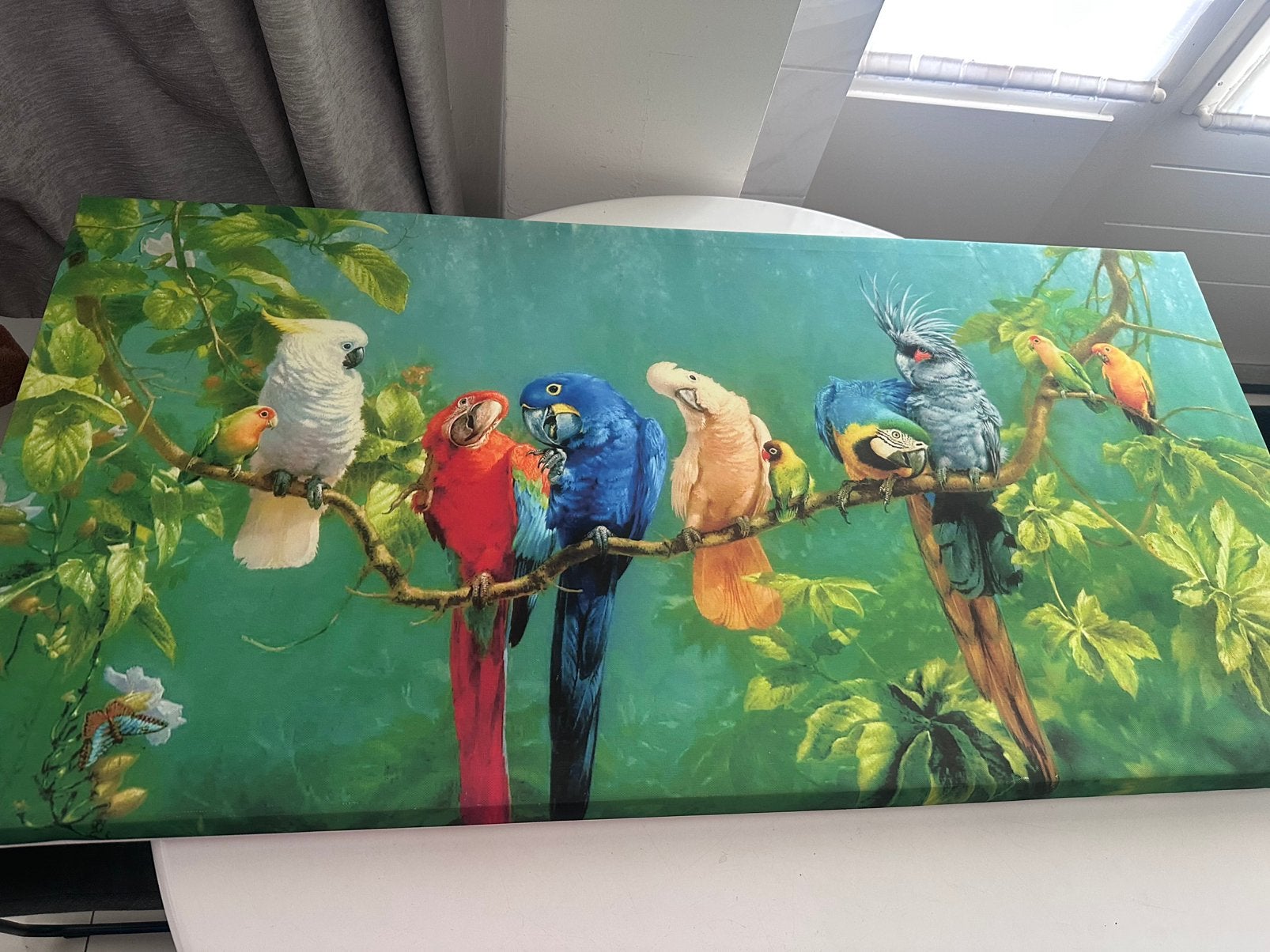 Papegaaien schilderij, Ophalen, Zo goed als nieuw