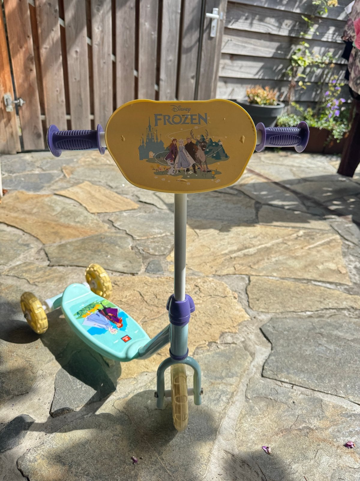 Disney Frozen Step voor Kinderen - Nieuw, Ophalen, Nieuw, Gewone step