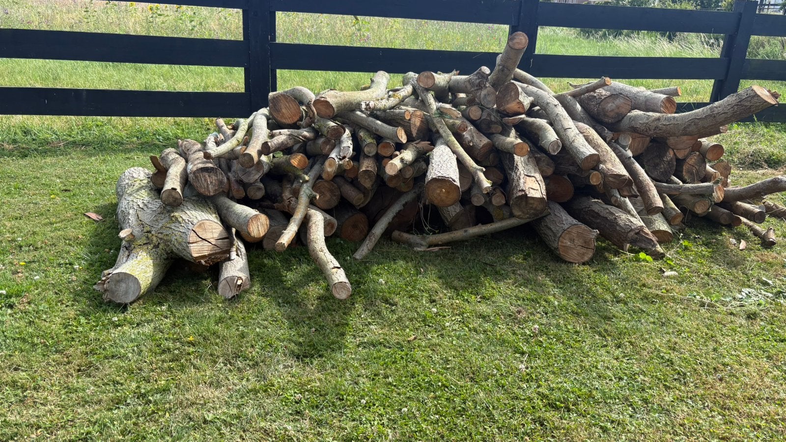 Openhaardhout droog 2m3, Tuin en Terras, Haardhout, Minder dan 3 m³, Ophalen, Overige houtsoorten, Stammen