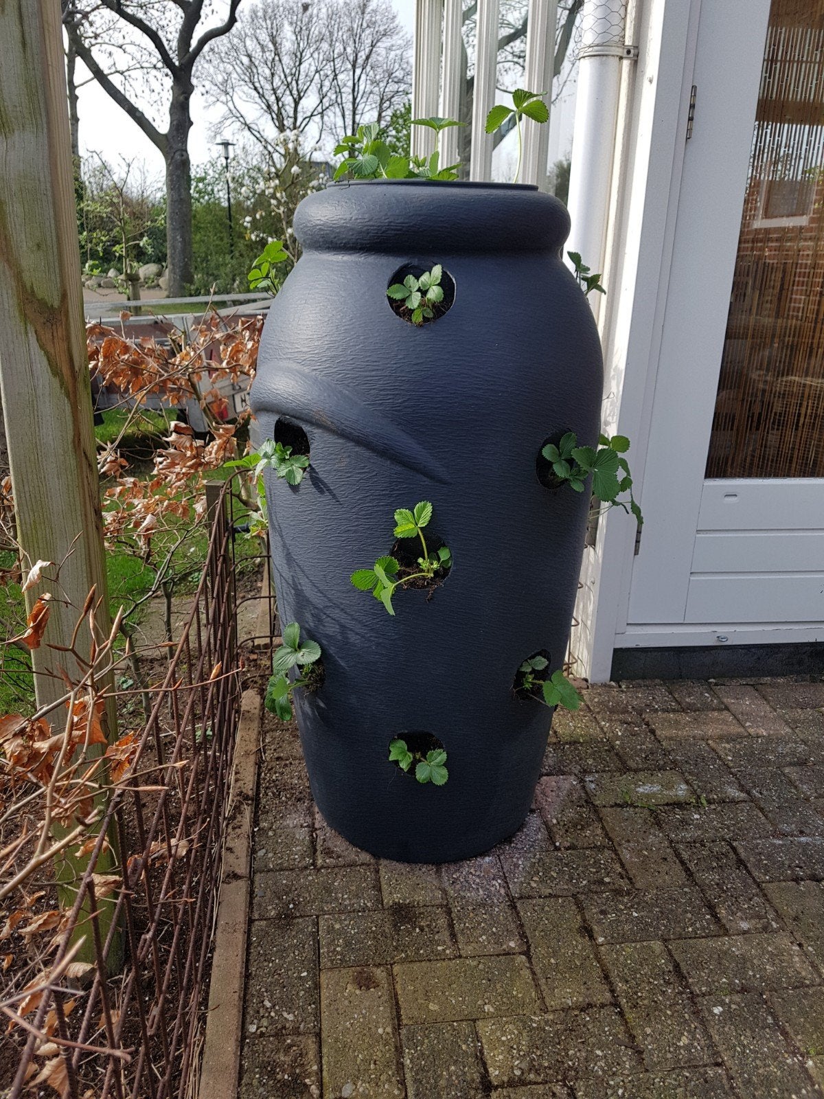Regenton voor bloemen of aardbei planten., Ophalen, Kunststof, 40 cm of meer, Rond