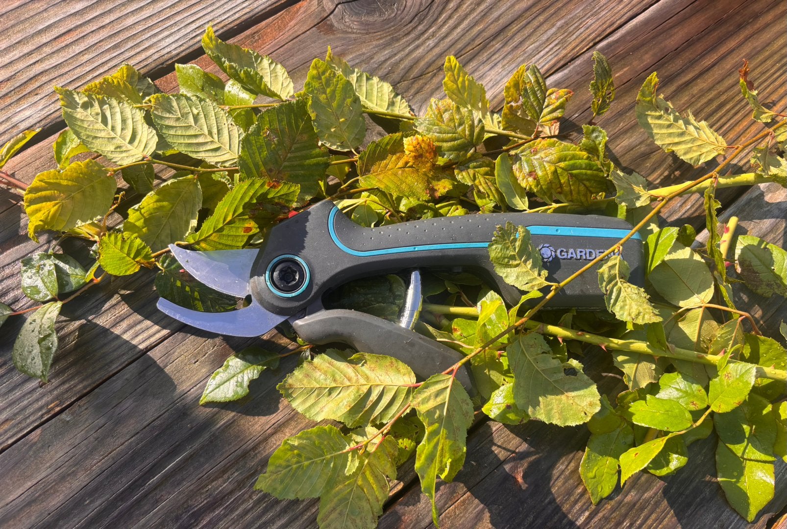 Gardena assist  met  accu, Ophalen of Verzenden, Zo goed als nieuw, 20 t/m 29 mm