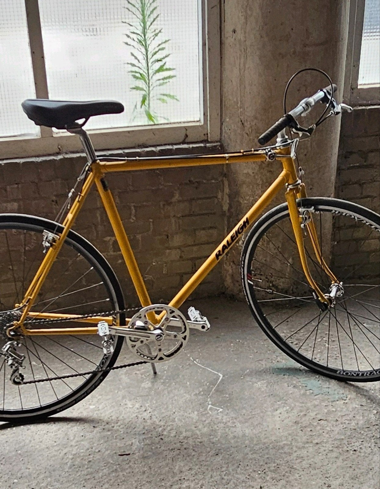 Vintage 80's Raleigh Reynolds 501, Criterium, Record,Pursuit, Ophalen, Velgrem, Raleigh, Jaren '60 of nieuwer