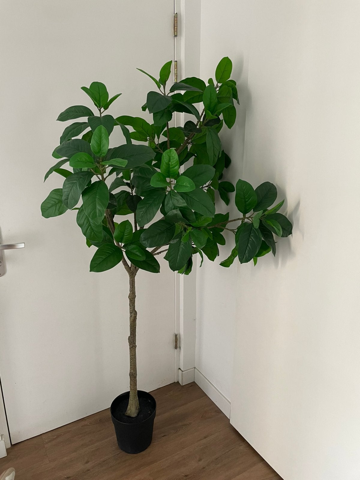 Kunstplant 175 cm - ikea fejka, Kunstplant, Ophalen of Verzenden, Kunststof, IKEA