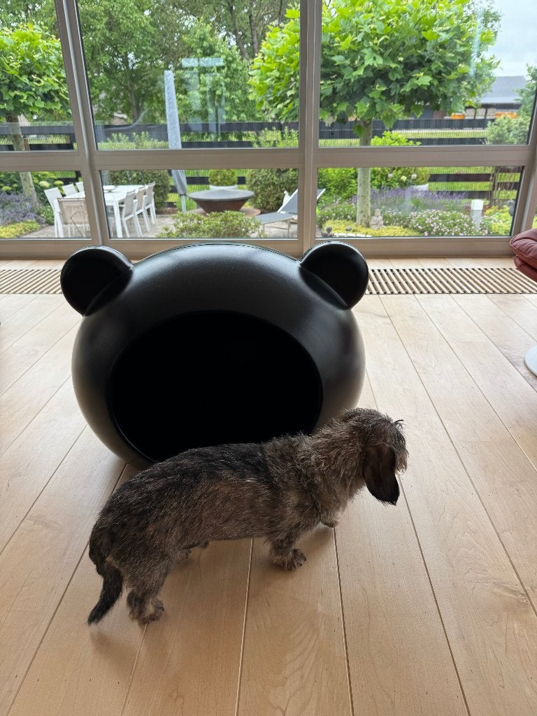 Mickey mouse hondenmand, Dieren en Toebehoren, Ophalen of Verzenden, Zo goed als nieuw, Overige