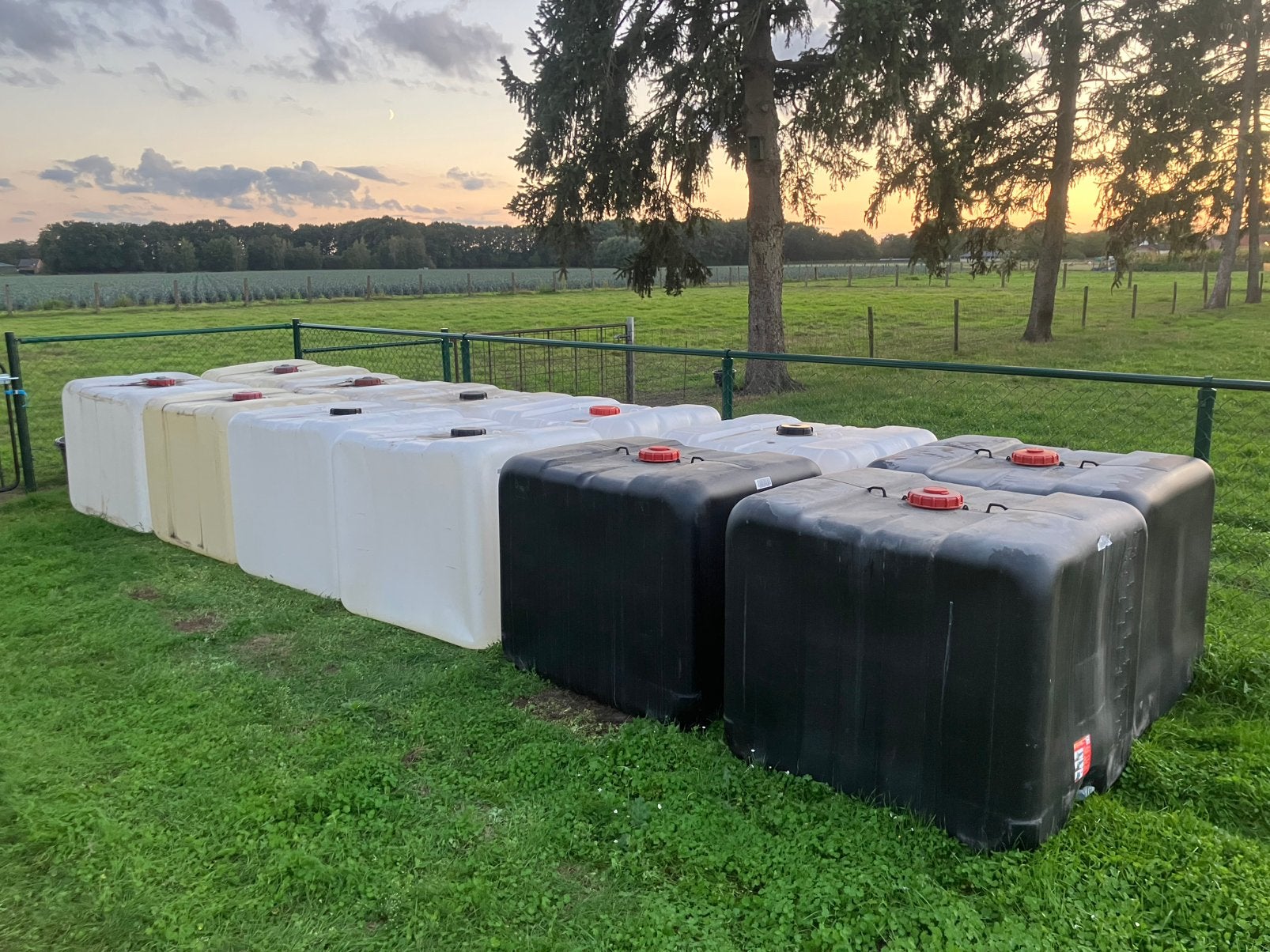 Gratis IBC 1000L platic binnenblazen!, Ophalen, 100 cm of meer, 60 cm of meer, Zo goed als nieuw