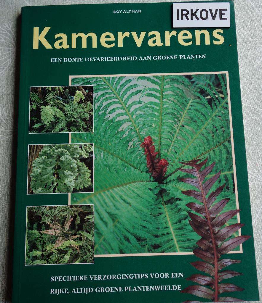 KAMERVARENS * Boy Altman *, Verzenden, Zo goed als nieuw, Boy Altman, Kamerplanten