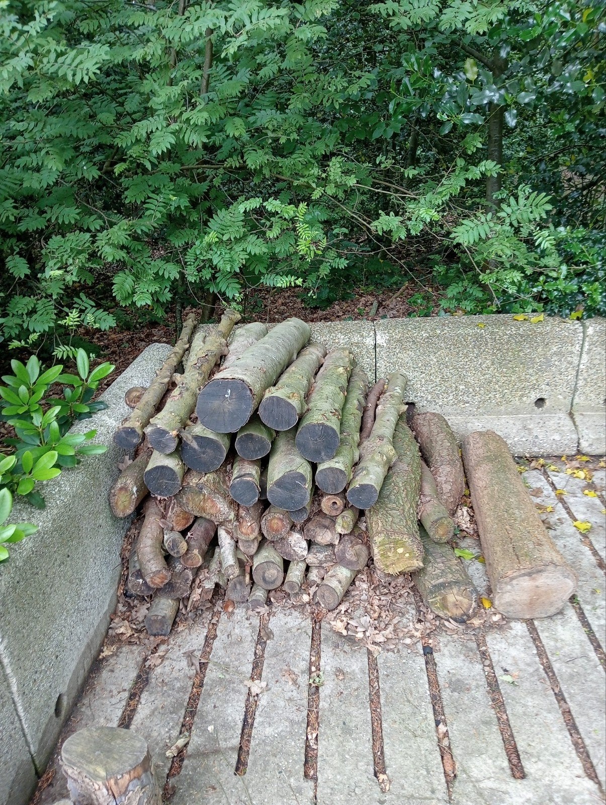 Haardhout een mix van verschillende soorten., Minder dan 3 m³, Ophalen