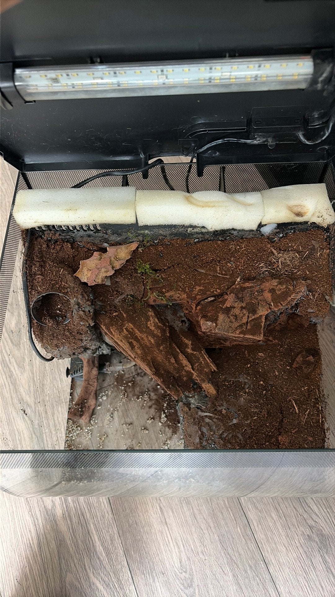 Klein paludarium, Ophalen, Gebruikt