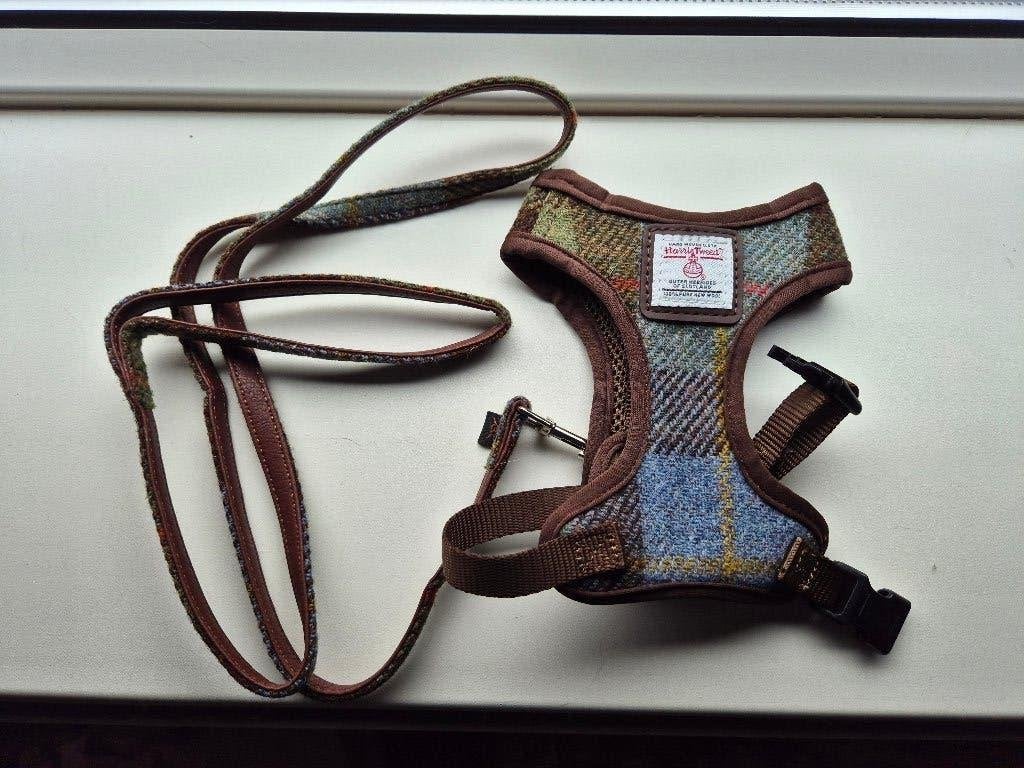 Harris Tweed Hondentuigje – Blauw Groen (Maat S), Overige merken, Ophalen of Verzenden, Nieuw, Hondentuig