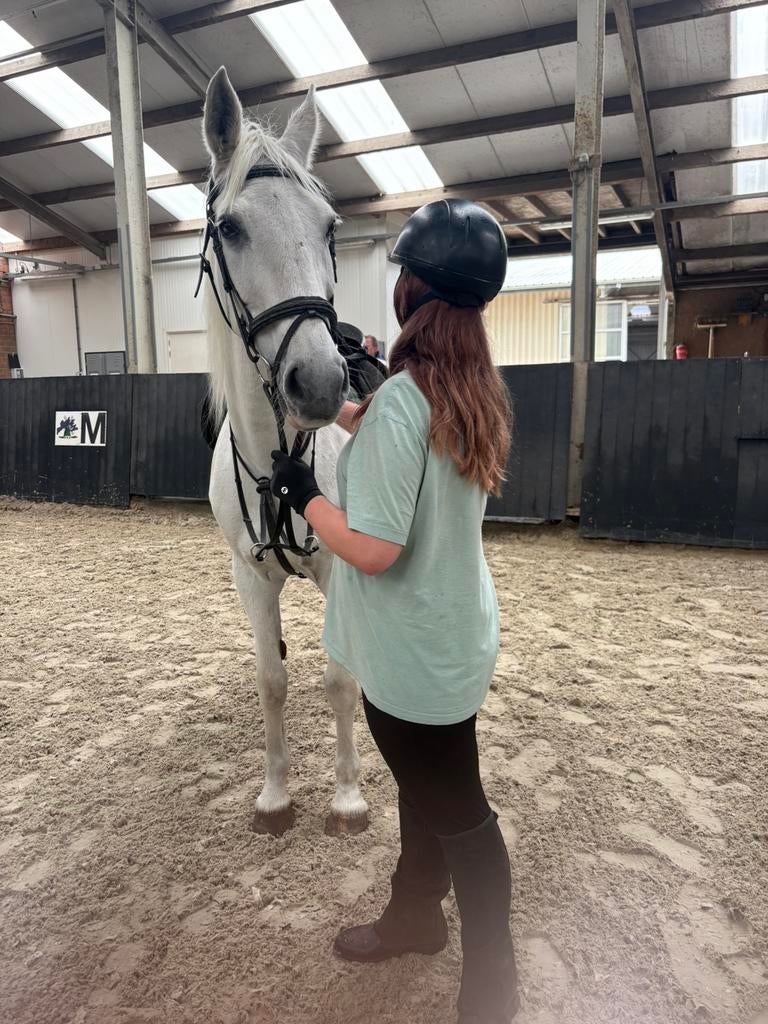 Verzorg paard gezocht, Dieren en Toebehoren, Paarden en Pony's | Verzorgingsproducten, Ophalen of Verzenden, Zo goed als nieuw