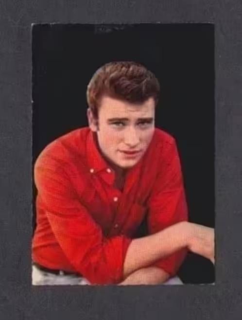 Johnny Hallyday Muziek Artiest 1964., Ophalen of Verzenden, 1960 tot 1980, Gelopen, Muziek