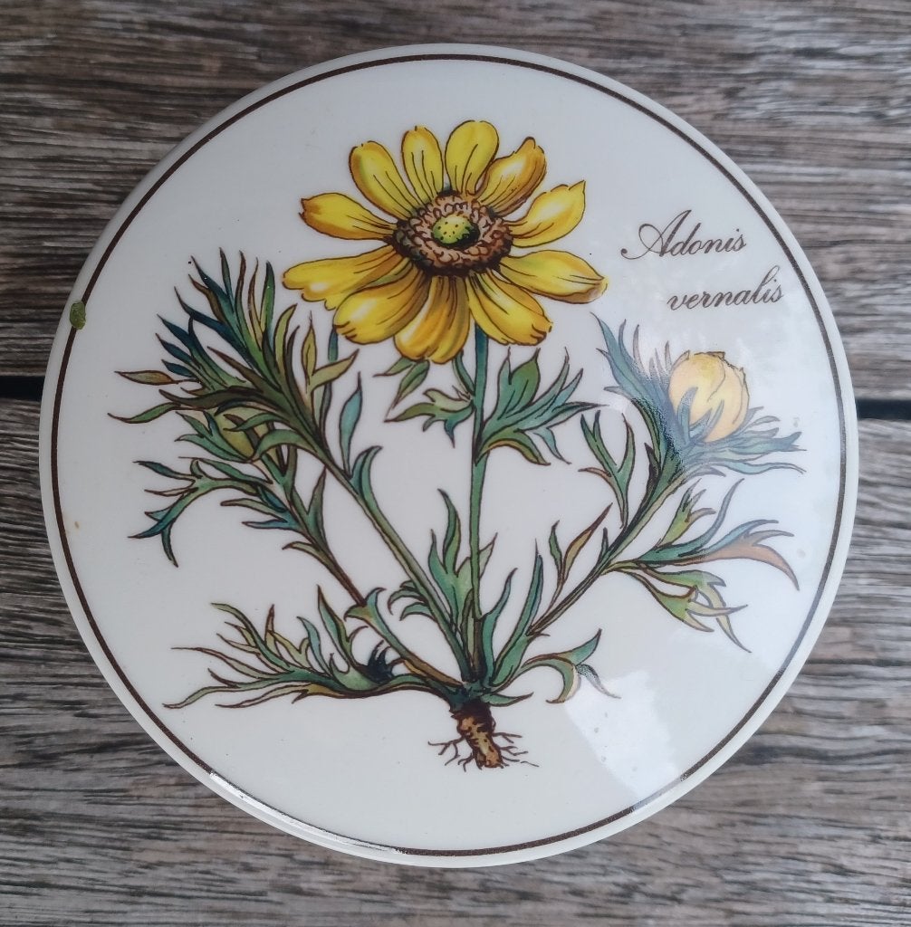 VILLEROY & BOCH, Klassiek, Villeroy & Boch, Nieuw, Ophalen of Verzenden