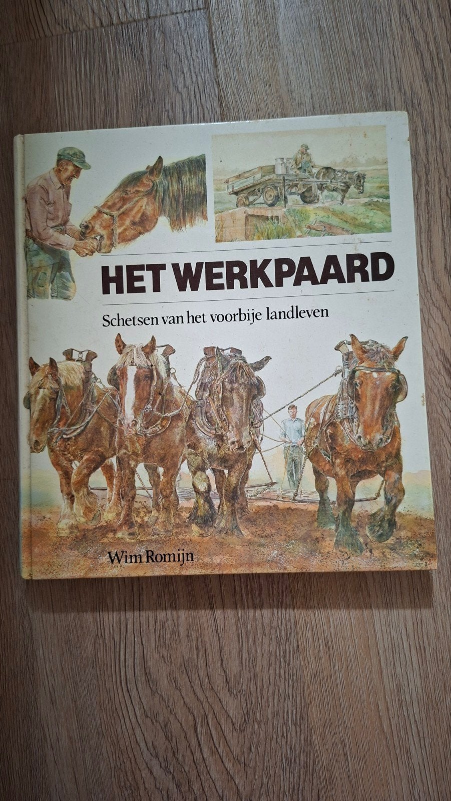 Boek Het Werkpaard, Ophalen of Verzenden