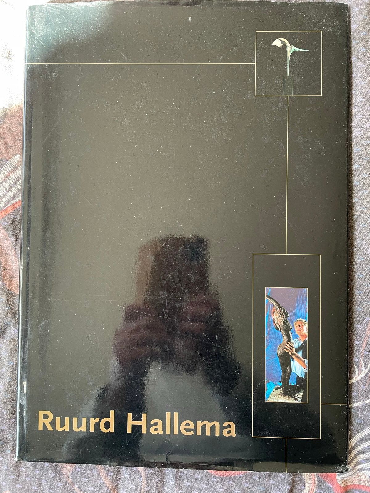 Ruurd Hallema - beeldhouwer, Boeken, Ophalen of Verzenden, Gelezen