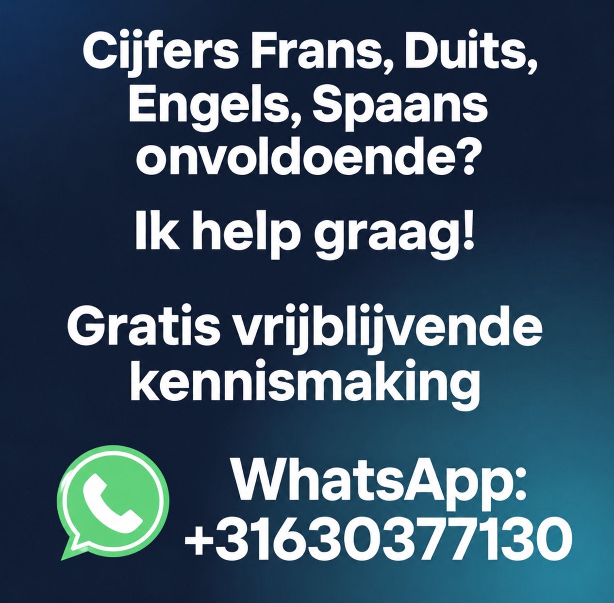 Online Bijles Frans Duits Engels Spaans - ook examentraining, Bijles